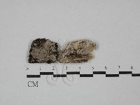 登錄號:F0029346藏品圖，第1張
