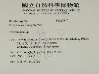 多年臥孔菌屬藏品圖，第2張