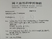 登錄號:F0029350藏品圖，第2張