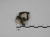 登錄號:F0029350藏品圖，第1張