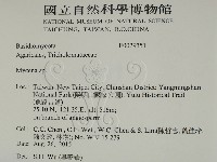 小菇屬藏品圖，第2張