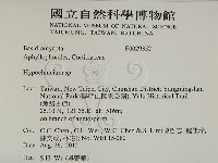 登錄號:F0029352藏品圖，第2張