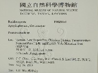 顯絲菌屬藏品圖，第2張