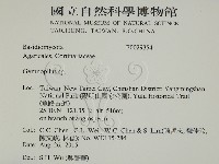 登錄號:F0029354藏品圖，第2張
