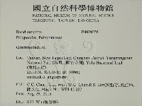 登錄號:F0029356藏品圖，第2張