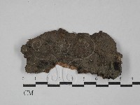 登錄號:F0029356藏品圖，第1張