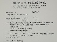 登錄號:F0029357藏品圖，第2張