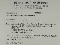 木層孔菌屬藏品圖，第2張