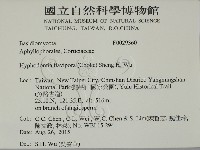 登錄號:F0029360藏品圖，第2張