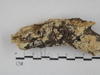 登錄號:F0029360藏品圖，第1張