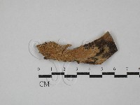 登錄號:F0029363藏品圖，第1張