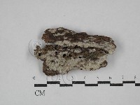 登錄號:F0029366藏品圖，第1張