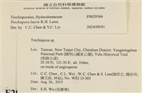 登錄號:F0029366藏品圖，第3張
