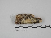 登錄號:F0029367藏品圖，第1張