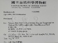登錄號:F0029368藏品圖，第2張
