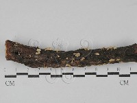 登錄號:F0029368藏品圖，第1張