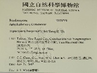 登錄號:F0029369藏品圖，第2張