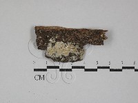 登錄號:F0029371藏品圖，第1張