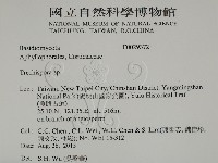 擬筍殼菌屬藏品圖，第2張