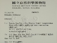 登錄號:F0029373藏品圖，第2張