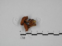 登錄號:F0029375藏品圖，第1張