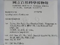 登錄號:F0029379藏品圖，第2張