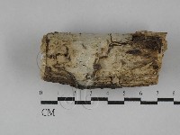 登錄號:F0029379藏品圖，第1張