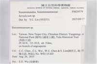 登錄號:F0029379藏品圖，第3張