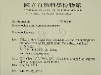刺革菌屬藏品圖，第2張