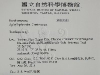 登錄號:F0029382藏品圖，第2張