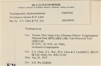 登錄號:F0029382藏品圖，第3張