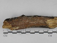 登錄號:F0029384藏品圖，第1張