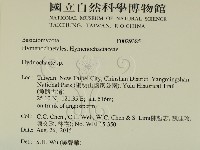 登錄號:F0029385藏品圖，第2張