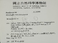 館號:F0029388藏品圖，第2張