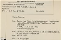 館號:F0029388藏品圖，第3張