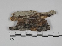 登錄號:F0029390藏品圖，第1張