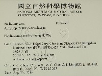 登錄號:F0029391藏品圖，第2張