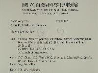 登錄號:F0029392藏品圖，第2張