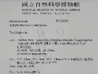 登錄號:F0029393藏品圖，第2張