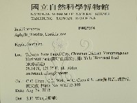 絲齒菌屬藏品圖，第2張