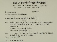 登錄號:F0029399藏品圖，第2張