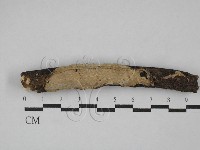 登錄號:F0029399藏品圖，第1張