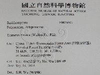 登錄號:F0029401藏品圖，第2張