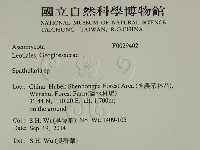 登錄號:F0029402藏品圖，第2張