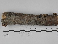 登錄號:F0029404藏品圖，第1張