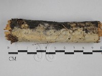 登錄號:F0029406藏品圖，第1張