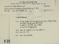 登錄號:F0029412藏品圖，第1張