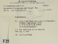 登錄號:F0029414藏品圖，第1張
