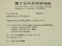 登錄號:F0029417藏品圖，第2張