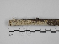 登錄號:F0029417藏品圖，第1張